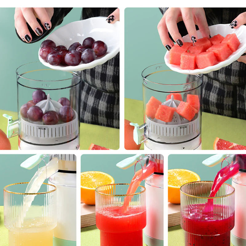 Advance Electric Rechargeable fruit juice Blender